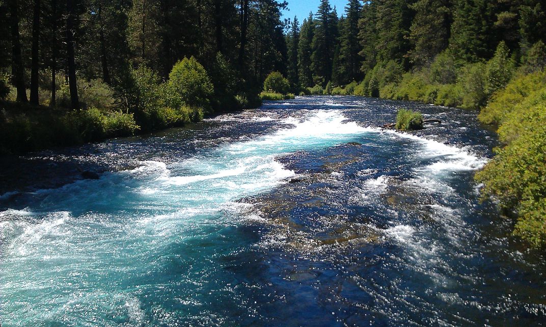 The Metolius River in Eastern Oregon while camping | Smithsonian Photo ...