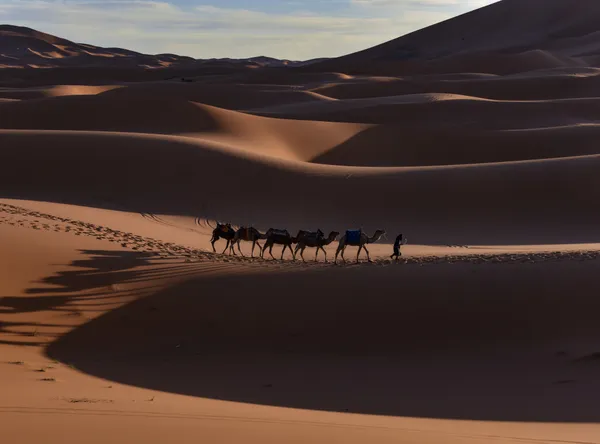 Sahara Desert thumbnail