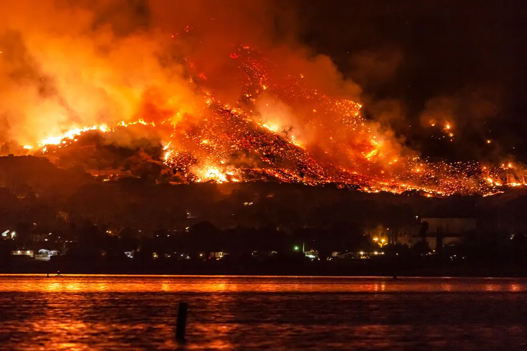 Wildfire