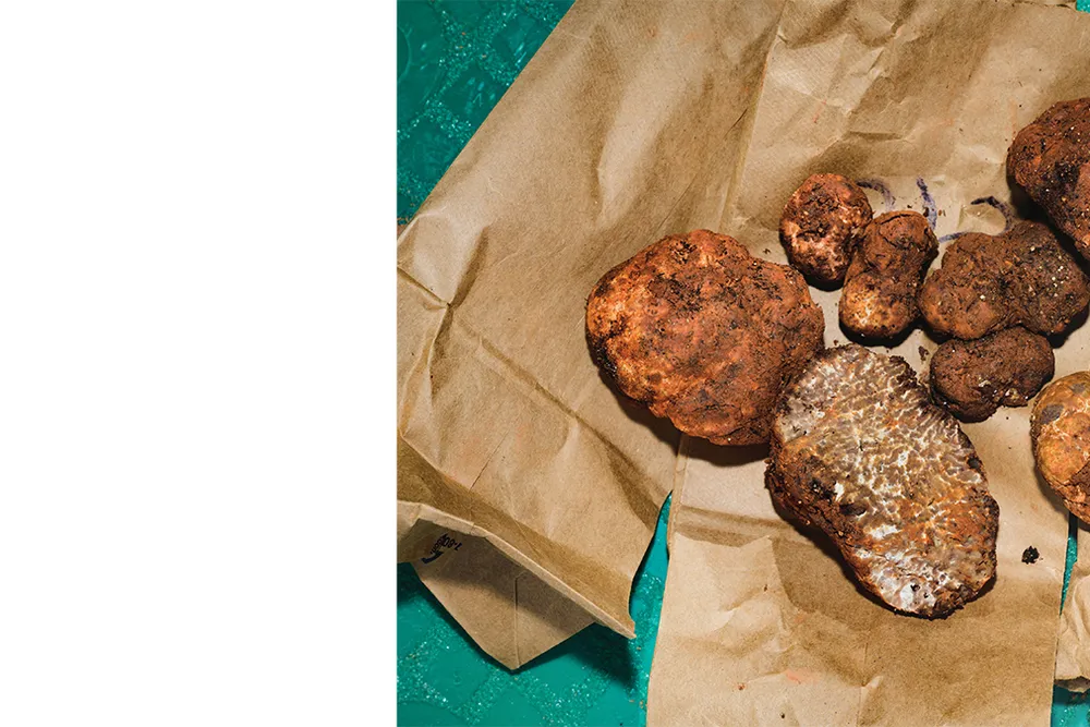 Opener - freshly gathered truffles