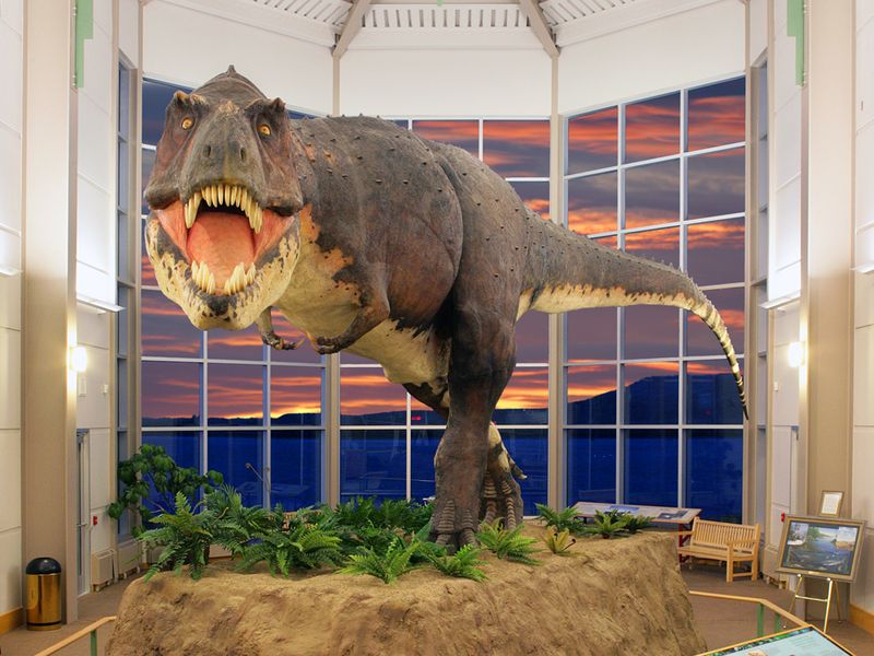 t rex at the smithsonian