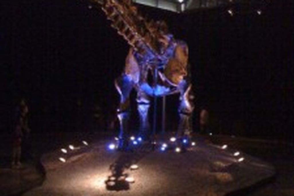 20110520083155einstein-apatosaurus-225x300.jpg