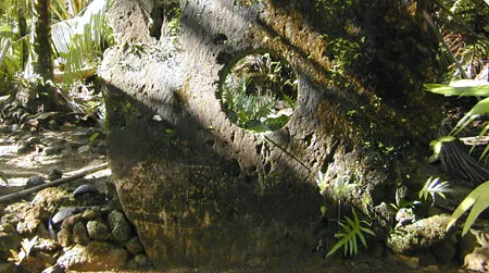 One of the larger pieces of Yapese stone money. Quarried in Palau, these giant coins were transported to Yap on flimsy outrigger canoes at considerable human cost – until O'Keefe took over their manufacturing.