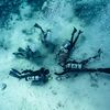 The Race to Preserve Treasures From the 'Nuestra Señora de las Maravillas' Shipwreck in the Bahamas icon