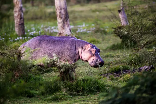 Rest by the Water thumbnail