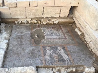 The mosaics date to the third century B.C.E.