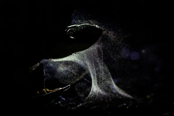 Unseen Snowfall thumbnail