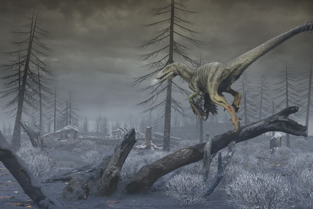 Illustration of dinosaur in grey world