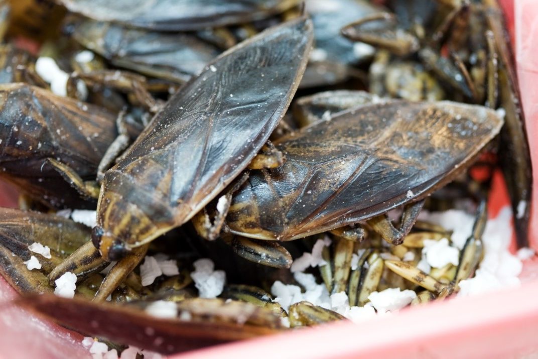 Pile of cooked water bugs