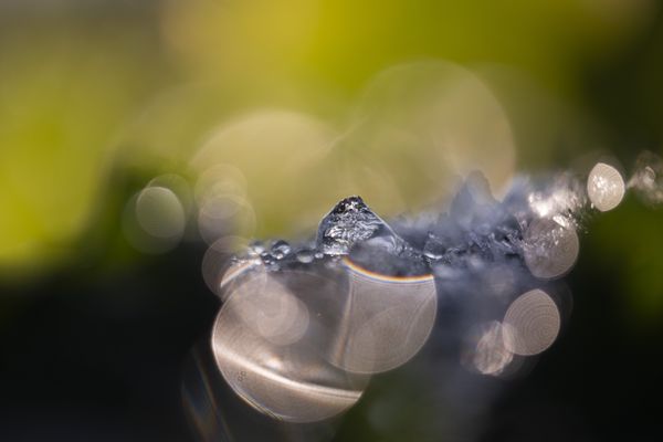 A frozen droplet thumbnail