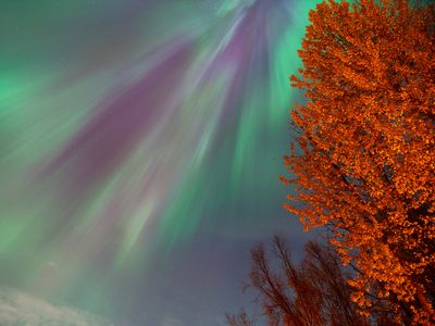The northern lights, seen from Alaska on October 7, 2024