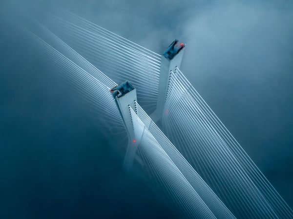 The Bridge That Breathes thumbnail