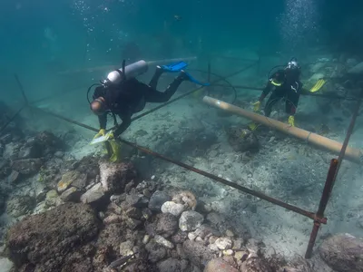 Some of the divers from Blue Water Recoveries excavating artifacts from the wreck of the Esmeralda