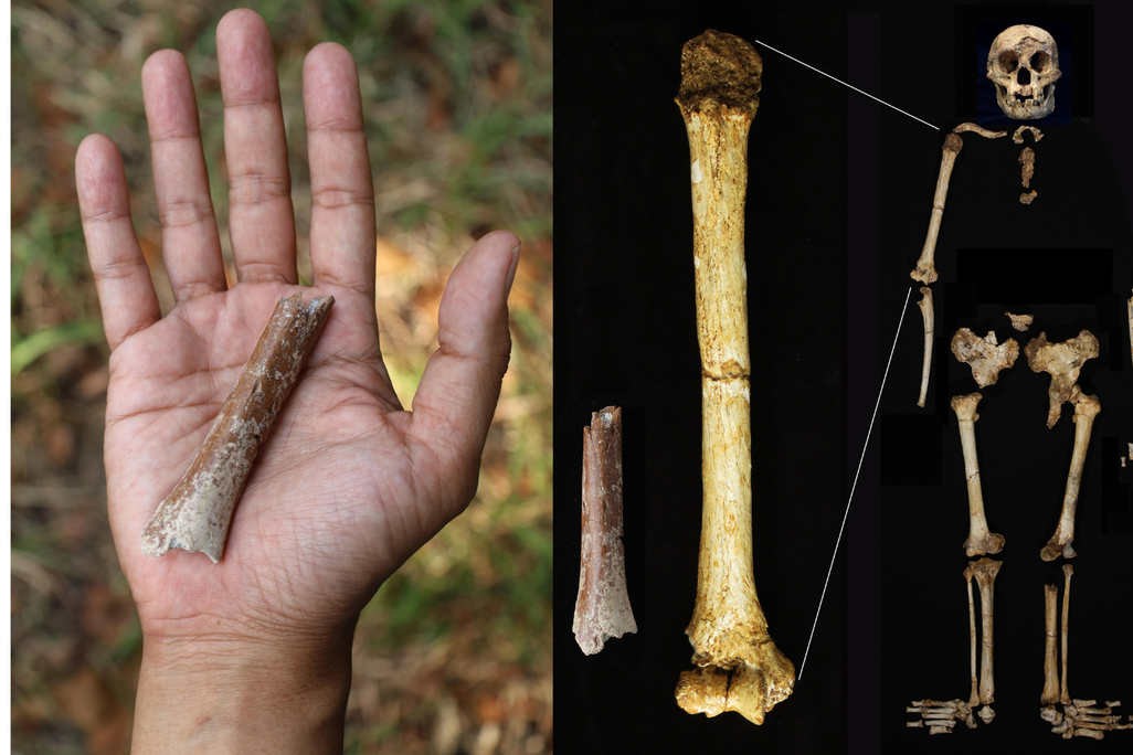 Two images side by side, one showing a bone fragment in a person's hand, the other showing bones against a black background
