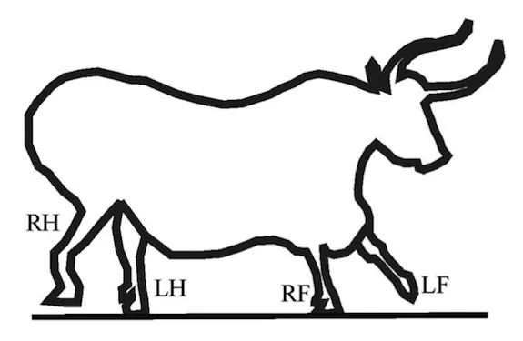 labelled contour