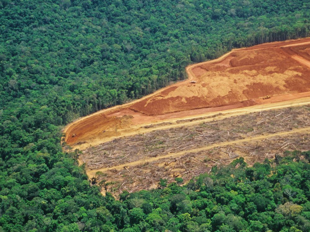 A deforested region of the Amazon rainforest