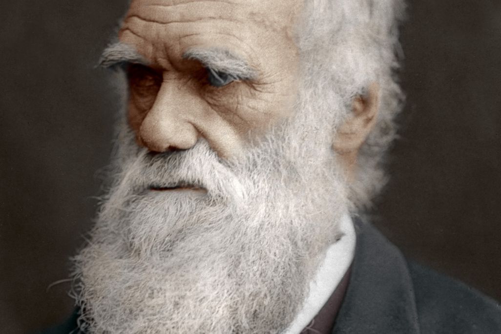 05_15_2014_darwin.jpg