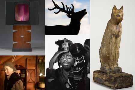 This year's crop of Smithsonian winter shows is as disparate as it is delightful.