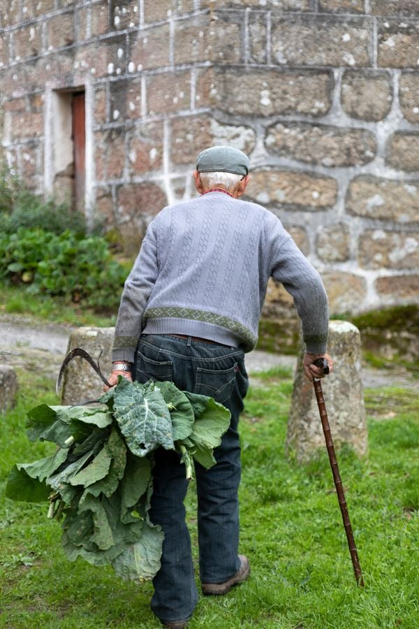 Old farmer in Galicia. Spain thumbnail