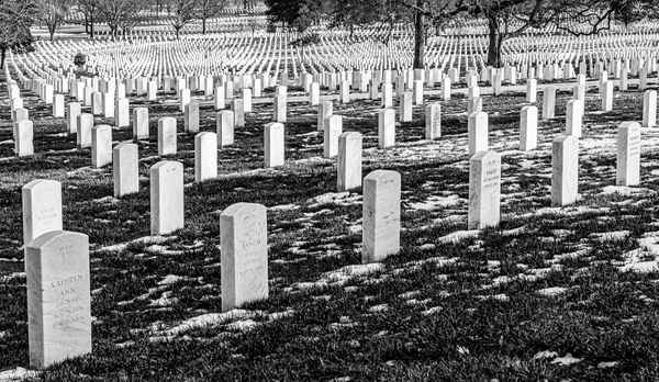 Serenity:  Arlington National Cemetery thumbnail