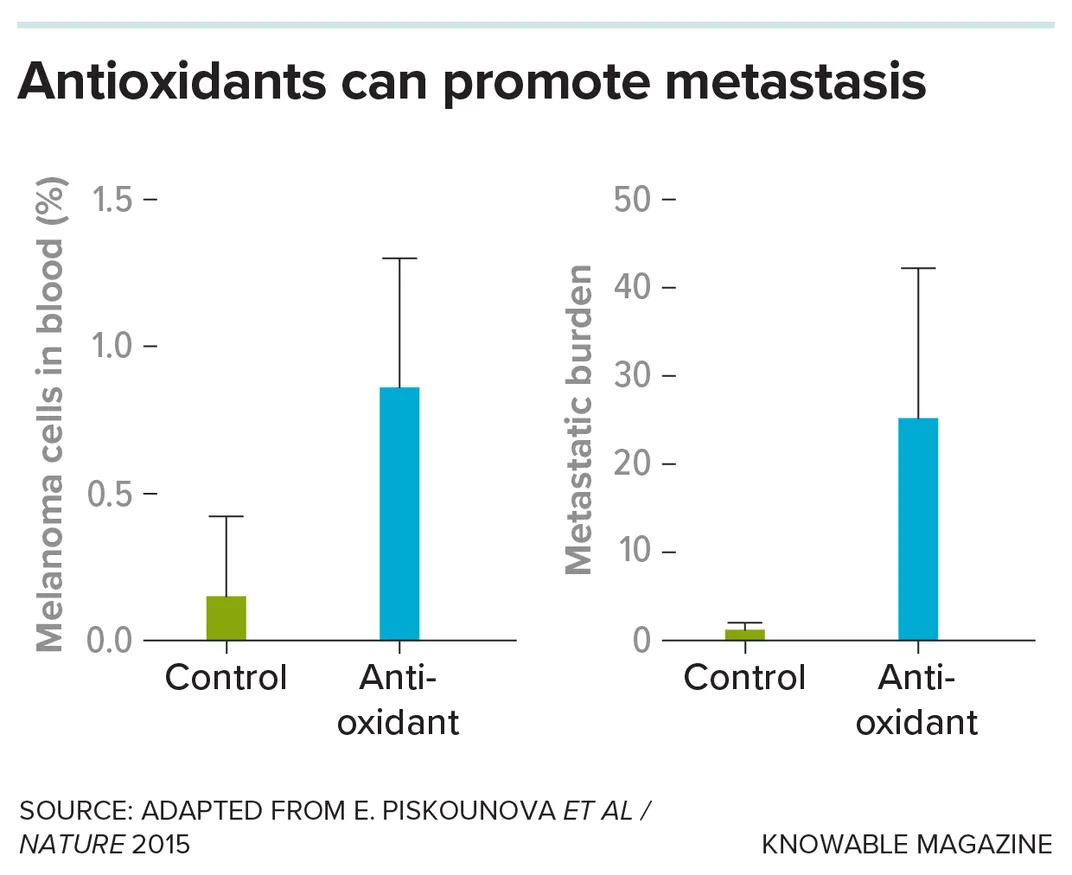 Antioxidants and Metastasis Graphic