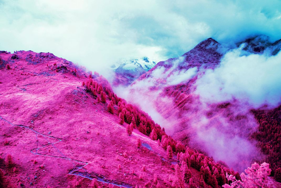 Looking at Nature Through Infrared Film Will Have You Seeing Red