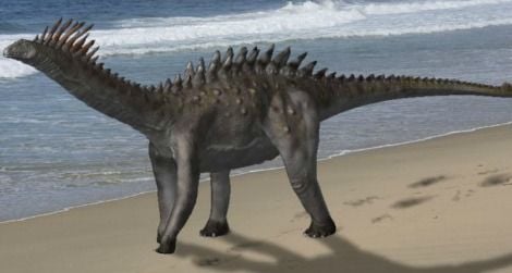 A speculative restoration of the armored sauropod Agustinia