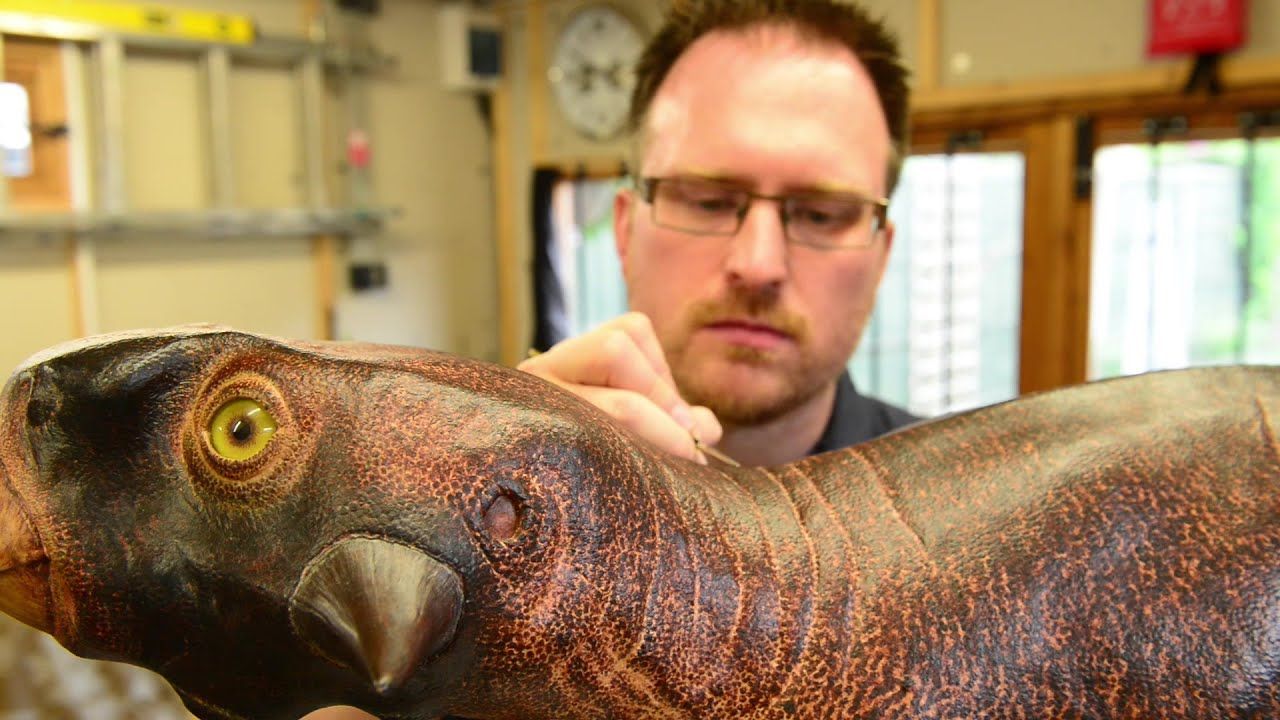 Preview thumbnail for This Bandit-Faced Dino Hid From Predators Using Multiple Types of Camouflage