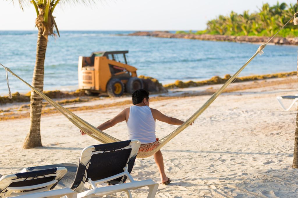 hammock