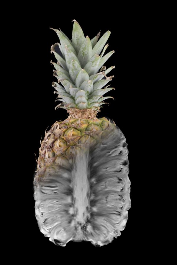 MRI of a Pineapple fused with a Pineapple thumbnail