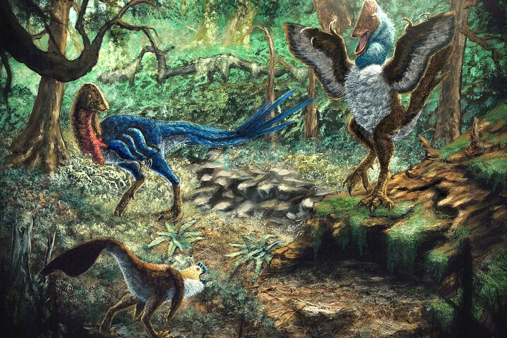 Eoneophron Infernalis