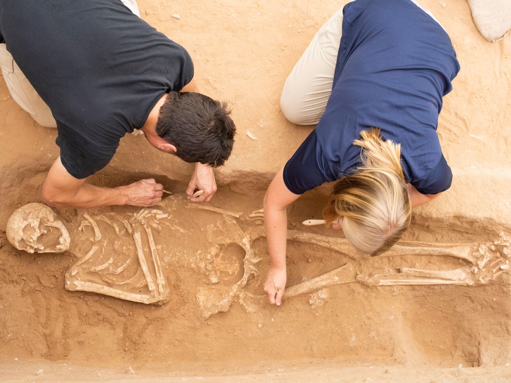 Cemetary Excavation