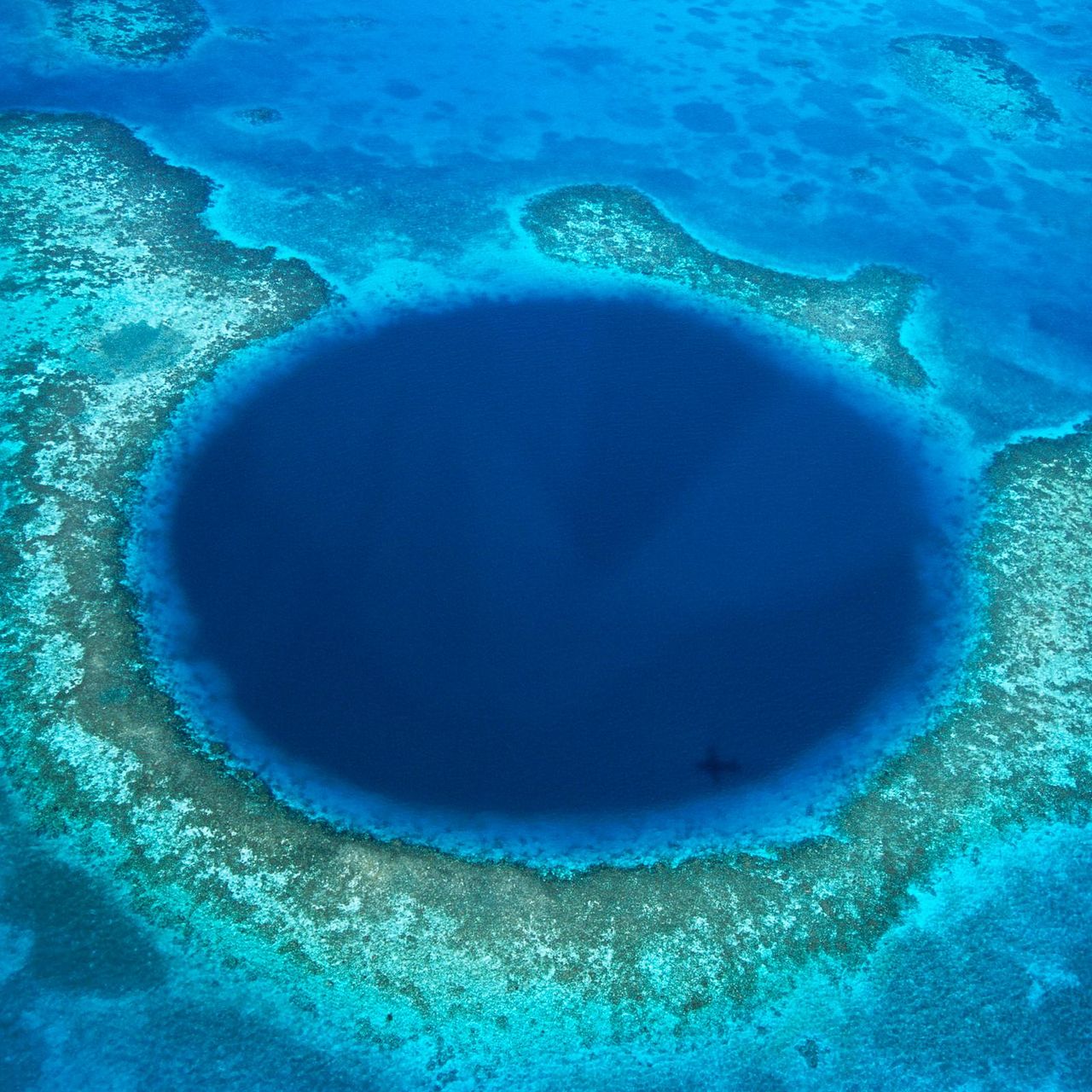 Underground sea 、Tropical、Bayou ax933358.jpg