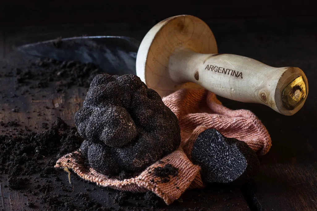 Truffles
