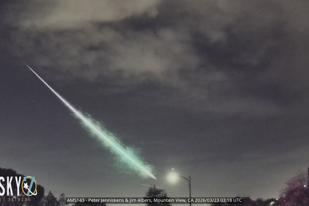streak of light green in the night sky above trees