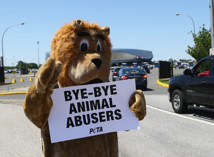 Person in an animal costume holding a sign that says "Bye-Bye Animal Abusers"