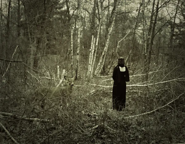 A Wounded Deer Leaps Highest thumbnail