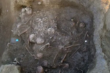 Overhead view of the mass grave, which contains the remains of at least 41 Copper Age people