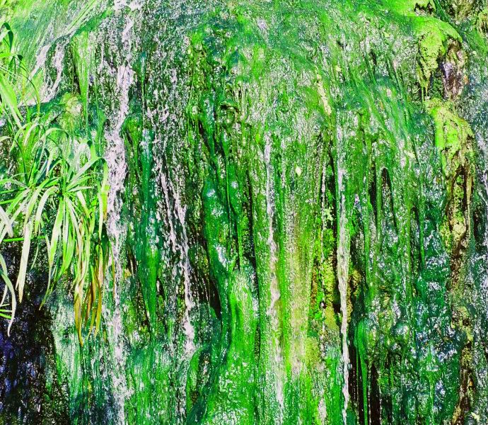 Base of a waterfall Smithsonian Photo Contest Smithsonian Magazine