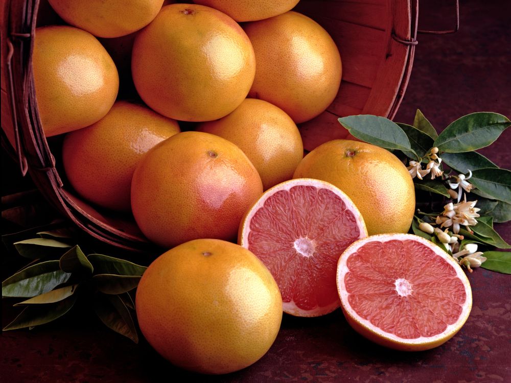 A stock image of a basket of grapefruit, a grapefruit sliced in half sits in the foreground