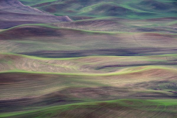 Rolling farmland in the Palouse. thumbnail