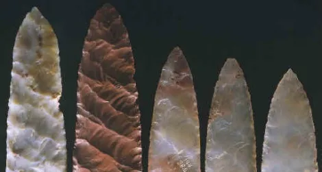 The Clovis people were known for their distinctive stone arrowheads.