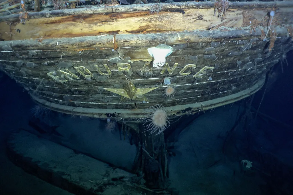 A view of the stern of the underwater ship, with the letters ENDURANCE visible underneath weathered wood, starfish and other sea creatures