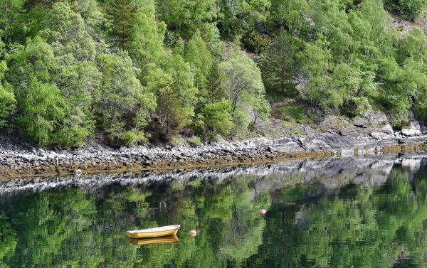 Tranquil Reflection on the Fjord thumbnail