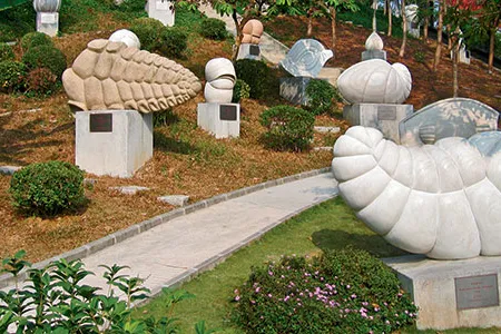 Foraminifera provide scientists with an invaluable fossil record. Their exquisite outer shells, normally too small for the naked eye, inspired sculptures in Zhongshan, China.