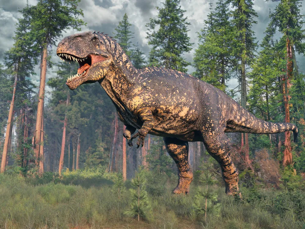 an illustration of a t. rex-like dinosaur walking through short vegetation with some trees in the background