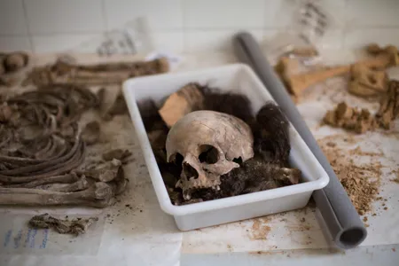 A skull with other bones of a victim's body is classified by anthropologists following an exhumation of a mass grave at the cemetery of Paterna, near Valencia, Spain,