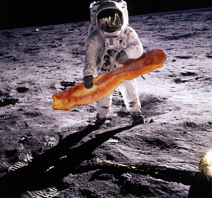 04_08_2014_space bacon.jpg