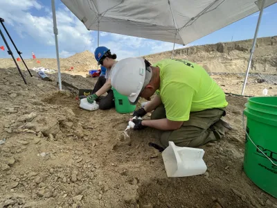 Paleontologists say the collection of uncovered bones likely represents the most complete mammoth ever found in North Dakota.
