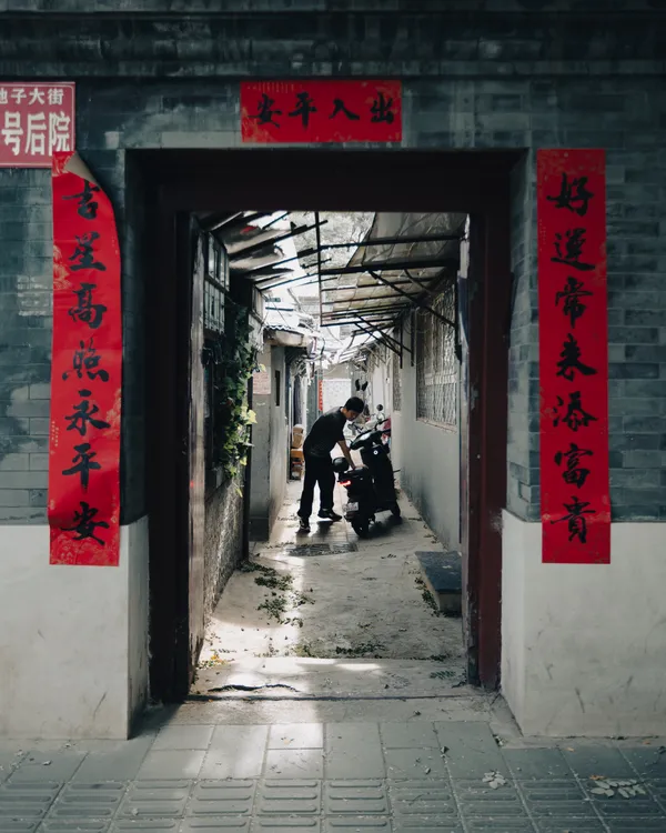 From stillness to deliberate paths thumbnail